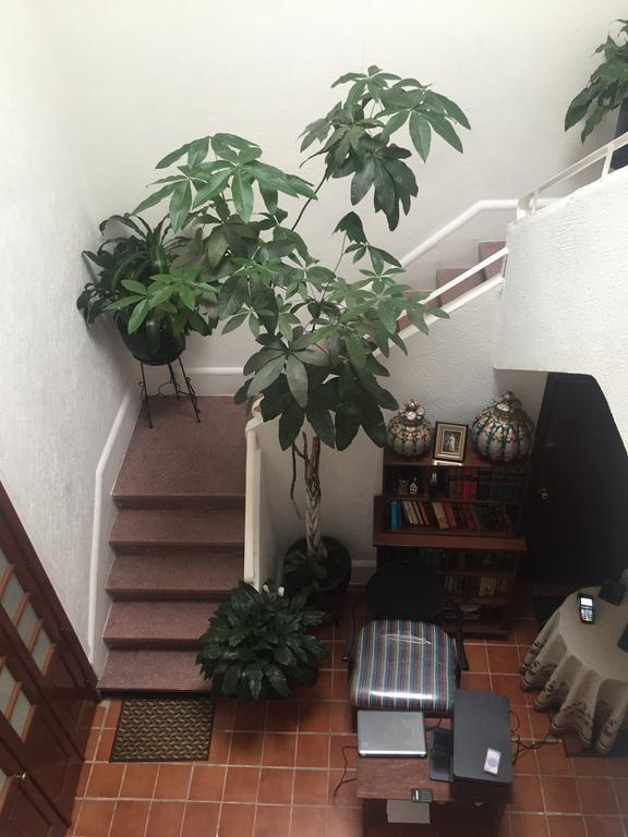 מלון מקסיקו סיטי Casa Maria Elena Condesa (Adults Only) מראה חיצוני תמונה