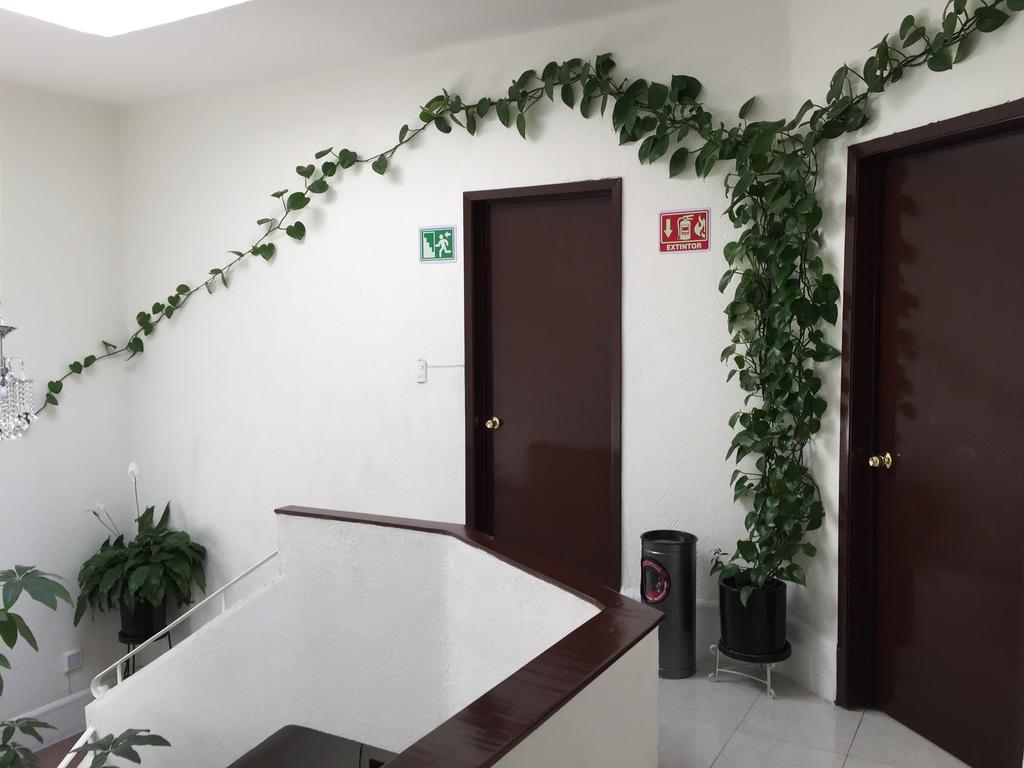 מלון מקסיקו סיטי Casa Maria Elena Condesa (Adults Only) מראה חיצוני תמונה