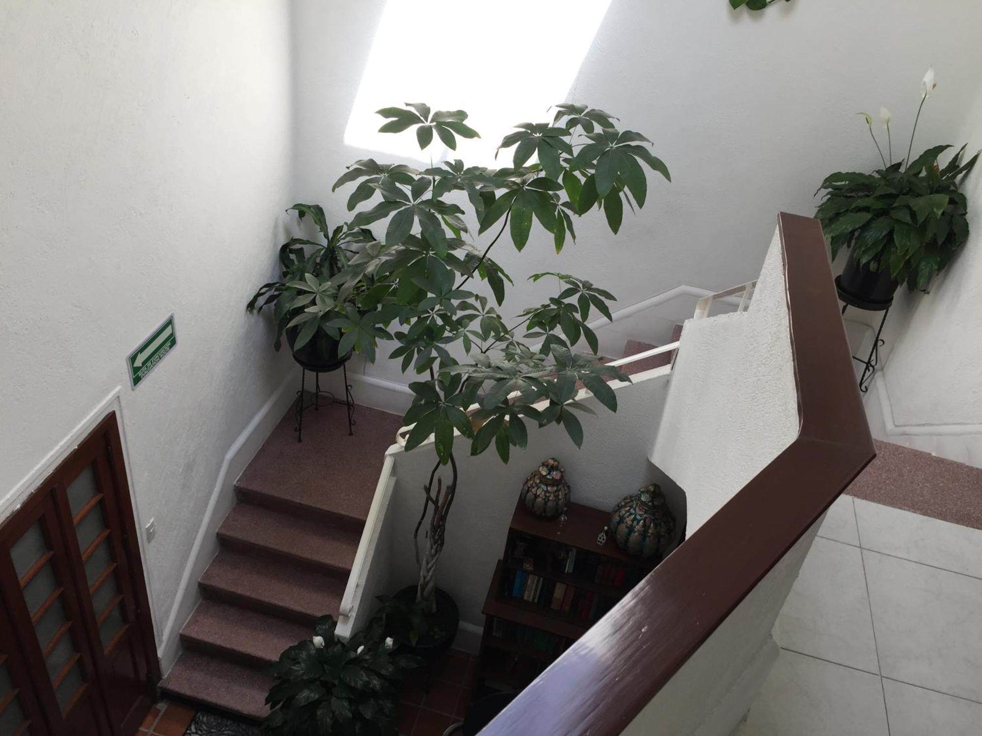 מלון מקסיקו סיטי Casa Maria Elena Condesa (Adults Only) מראה חיצוני תמונה