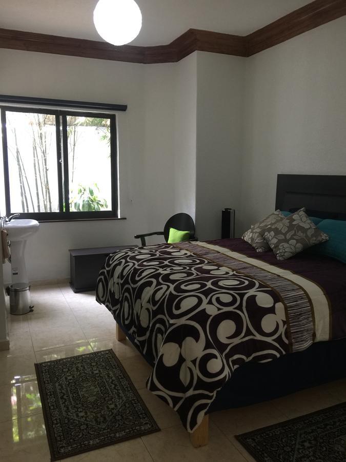 מלון מקסיקו סיטי Casa Maria Elena Condesa (Adults Only) מראה חיצוני תמונה